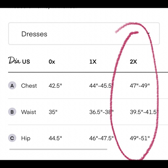 Dia & Co Sonny Puff Sleeve Crop Top Purple Retro Vintage Floral Romantic 2X - Picture 4 of 4